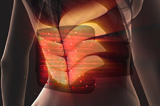 �¸��� �¿��е� �������� GIF