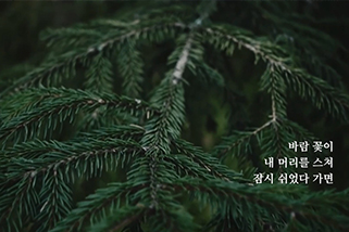 �������ø� ȫ������